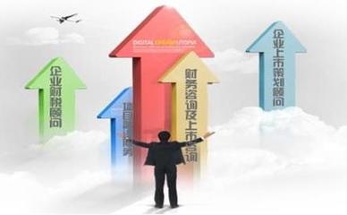 北京市優(yōu)質(zhì)企業(yè)績(jī)效管理與績(jī)效考核咨詢服務(wù)指南 發(fā)展與關(guān)鍵要素